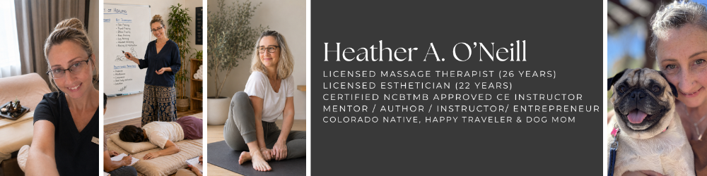 Meet Heather Collage Banner